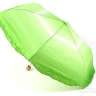 Зонт Капуста - Vegetabrella-Umbrella3.jpg