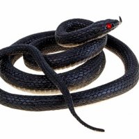 Змея резиновая